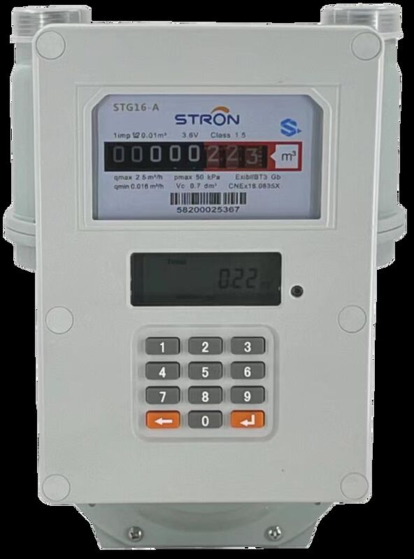 STS Smart Gas Meter จ่ายล่วงหน้า อุปกรณ์พร้อมกับการตรวจจับการปลอมแปลง การอัพเดทฟอร์มแวร์จากระยะไกล และการเตือนการบริโภคในเวลาจริงสําหรับบริษัทอุปกรณ์บริการแก๊ส