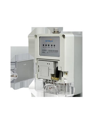 เกตเวย์รวมข้อมูล LoRa-RF สำหรับมิเตอร์อัจฉริยะ (300 หน่วย, GPRS, 433/915MHz, IP54)